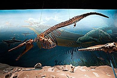 街机游戏《发条水瓶座》重启 11月30日发售