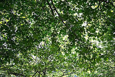 育碧盈利总监指责玩家散播仇恨、不道德